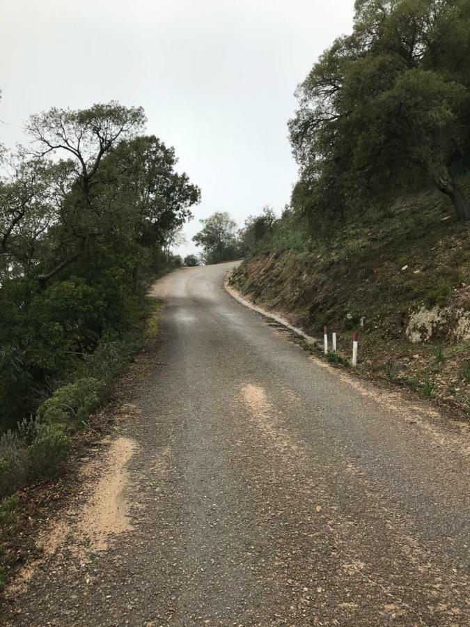 Sardegna Vicino Ad Olbia "La Casa Nel Vicolo" Villa Беркида Екстериор снимка