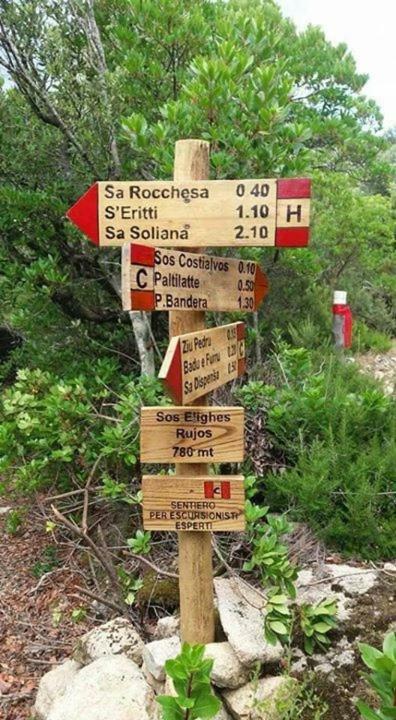 Sardegna Vicino Ad Olbia "La Casa Nel Vicolo" Villa Беркида Екстериор снимка