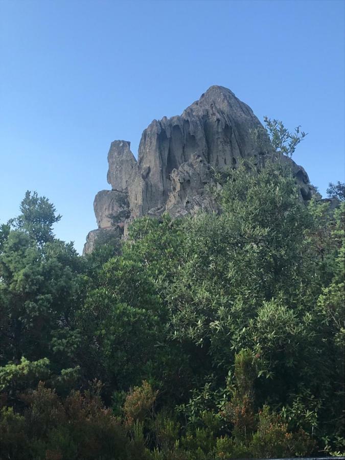 Sardegna Vicino Ad Olbia "La Casa Nel Vicolo" Villa Беркида Екстериор снимка